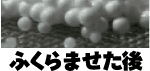 �ӂ���܂�����
